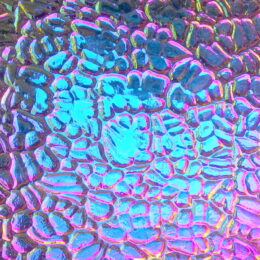 Dikroid WO-BL, ,5,COE96