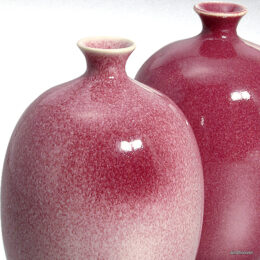 8232"Amaryllis "500g/50