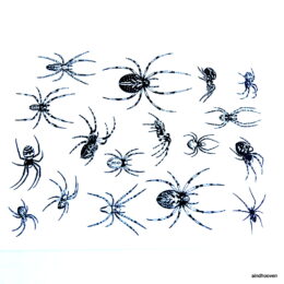 Siirdepilt "ämblikud 2"