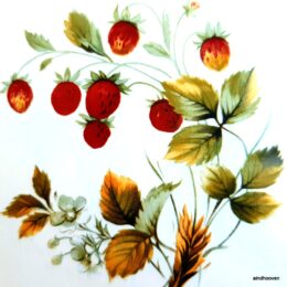 Siirdepilt "Metsmaasikad "10cm