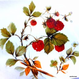 Siirdepilt "Vaarikas"7,5cm