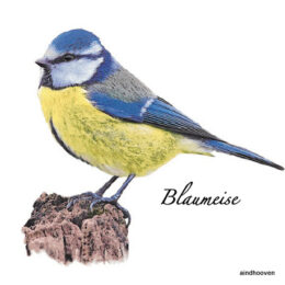 Siirdepilt "Sinitihane"7cm