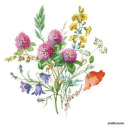 Siirdepilt "Põllulilled II "9cm