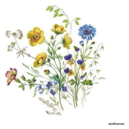 Siirdepilt "Põllulilled I "7,5cm