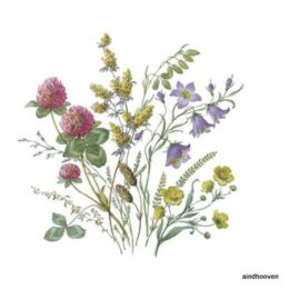 Siirdepilt "Põllulilled IV "9cm