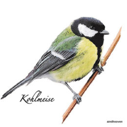 Siirdepilt "Tihane"7cm