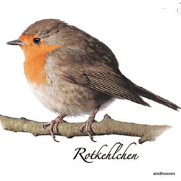 Siirdepilt "Punarind"7cm