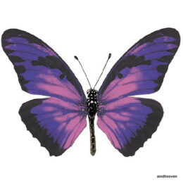 Siirdepilt "Lilla liblikas" 45mm