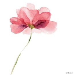 Siirdepilt "Akvarell punane õis" 110x50mm