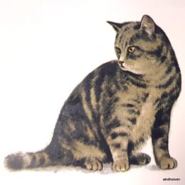 Siirdepilt "Kass 4" 75mm