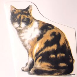 Siirdepilt "Kass 5" 75mm