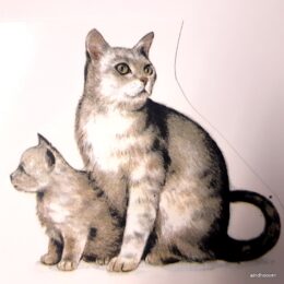 Siirdepilt "Kass 6" 75mm