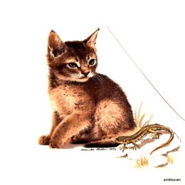 Siirdepilt "Kassipoeg sisalikuga"80mm