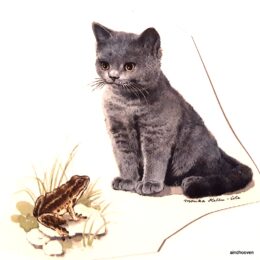 Siirdepilt "Kassipoeg konnaga"80mm