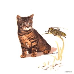 Siirdepilt "Kassipoeg rohutirtsuga"80mm