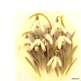 Siirdepilt "Lumikellukesed"75x65mm.