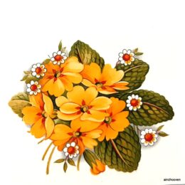 Siirdepilt "Nurmenukk " 80mm