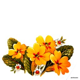 Siirdepilt "Nurmenukk " 65x37mm