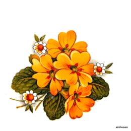 Siirdepilt "Nurmenukk " 48mm