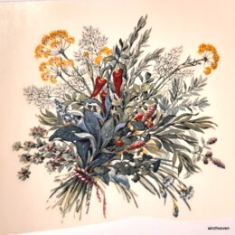 Siirdepilt "Ürdid"95m