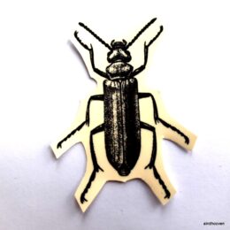 Siirdepilt "Sitikas 2" 5x3,5cm