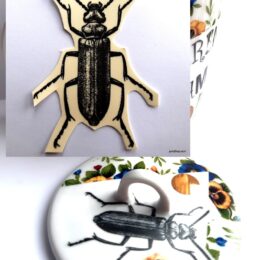 Siirdepilt "Suur sitikas 2" 6x4,5cm