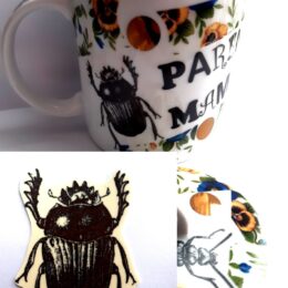 Siirdepilt "Sitikas1" 5x4cm