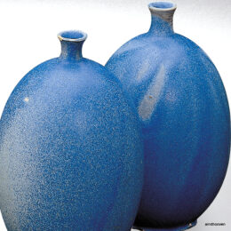 8489 "Hallikassinine"300g/41