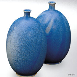 8489 "Hallikassinine"1kg/41