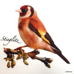 Siirdepilt "Ohakalind"7cm