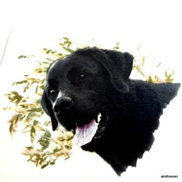 Siirdepilt "Must Labrador" 7cm