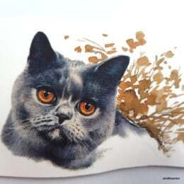 Siirdepilt " Briti lühikarvaline kass" 8cm