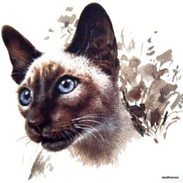 Siirdepilt "Siiam " 8cm