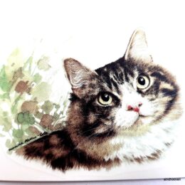 Siirdepilt " Tabby kass" 8cm