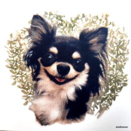 Siirdepilt "Chihuhua" 7cm