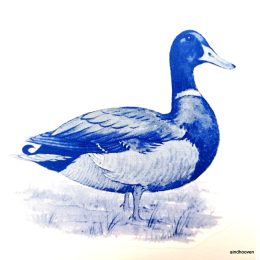 Siirdepilt "Sinine Part" 81x76mm