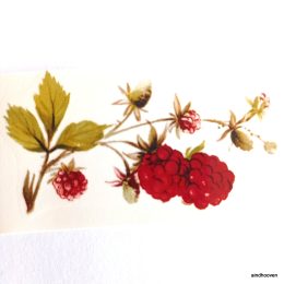 Siirdepilt "Vaarikas" 70x35mm