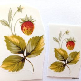 Siirdepilt "Metsmaasikas väike" 45x25mm