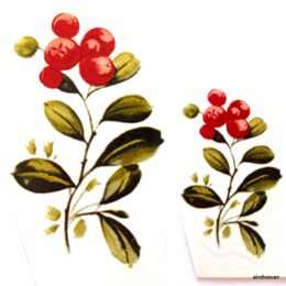 Siirdepilt "Pohl väike" 45x25mm