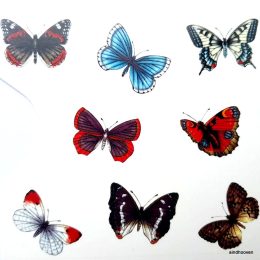 Liblikad 8 tk. 2,5x1,5cm