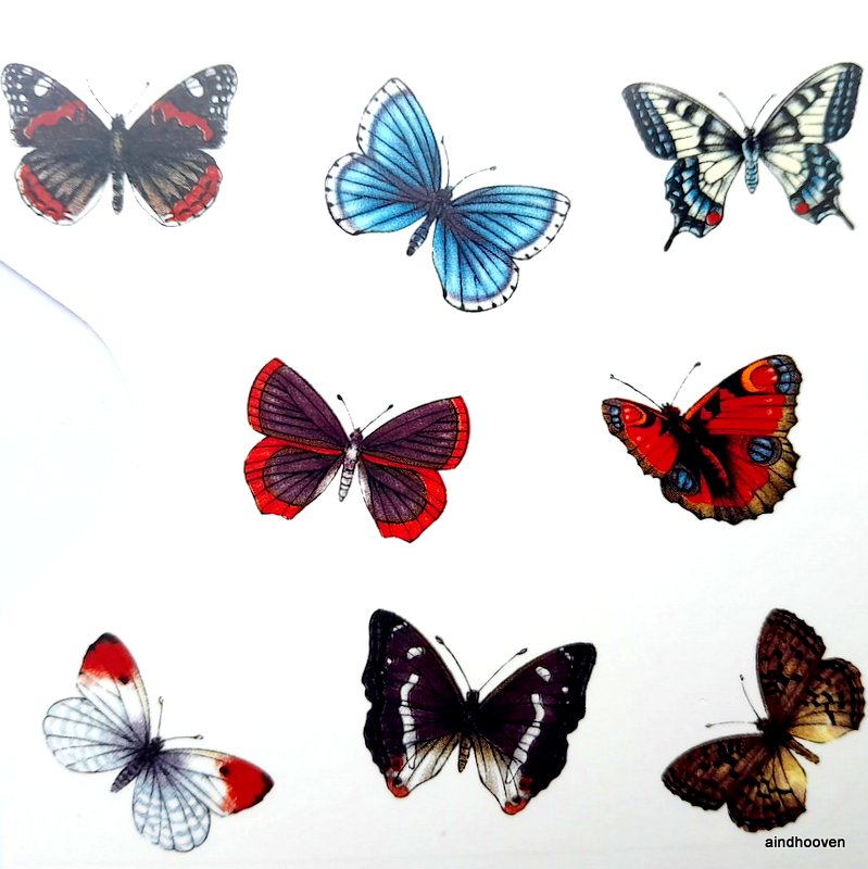 Liblikad 8 tk. 2,5x1,5cm