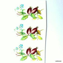 Kibuvitsa marjad 3 kompl. 42mm