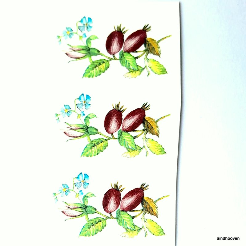 Kibuvitsa marjad 3 kompl. 42mm