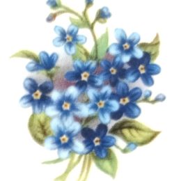 Väikesed Meelespead 35x30mm