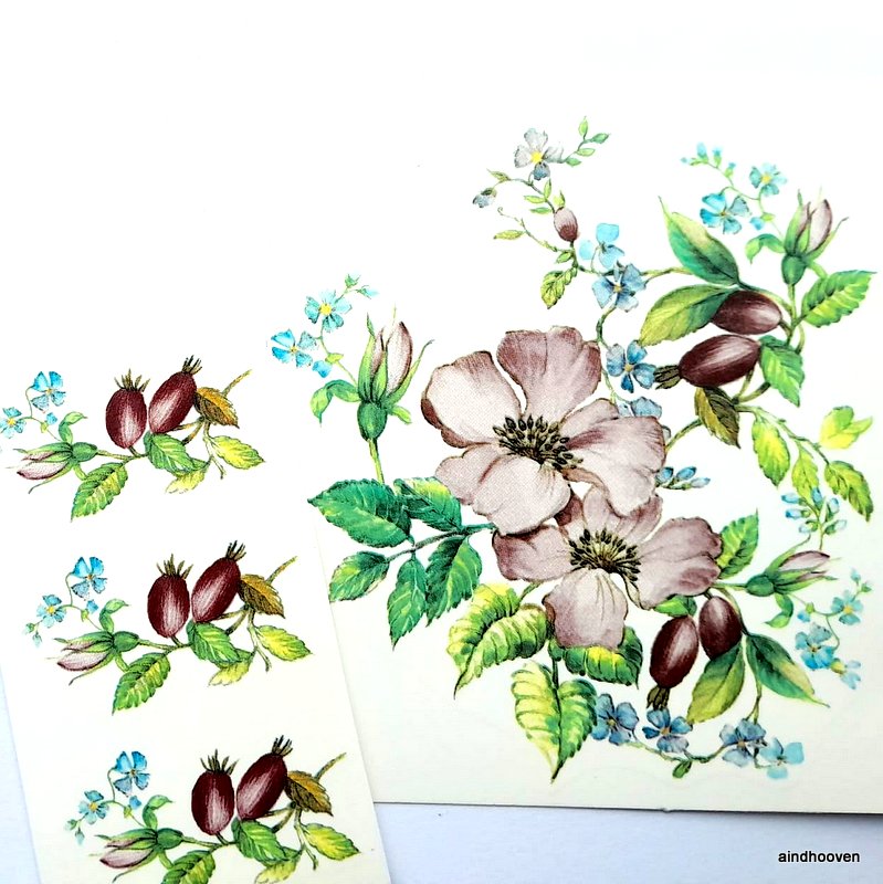 Kibuvitsa marjad 3 kompl. 42mm - Image 2