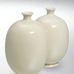 8622 Universaal transparent 500g/59